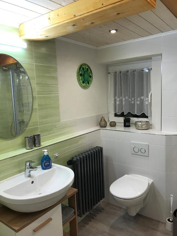 Ferienwohnung - Haus Molle Benneckenstein Extérieur photo
